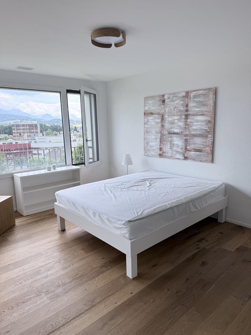 2½-Zimmer-Wohnung zur befristeten Vermietung (8)