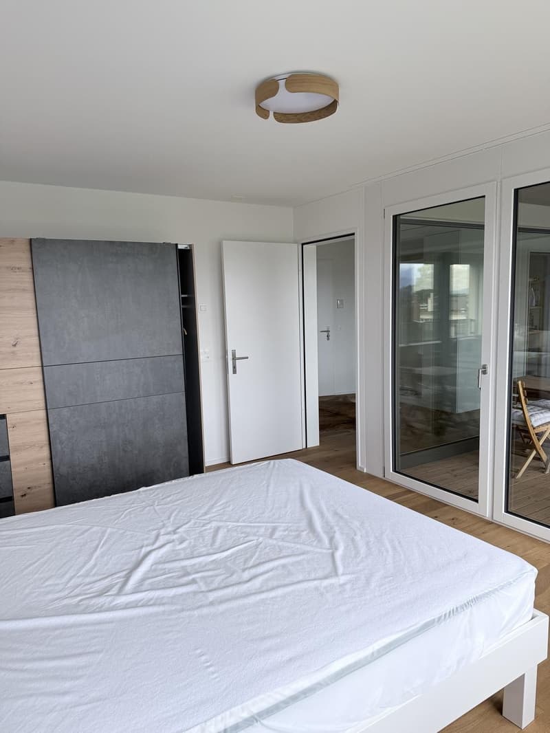 2½-Zimmer-Wohnung zur befristeten Vermietung (7)