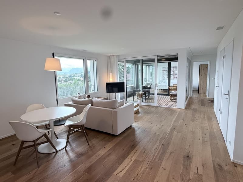 2½-Zimmer-Wohnung zur befristeten Vermietung (1)