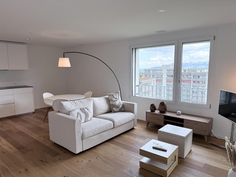 2½-Zimmer-Wohnung zur befristeten Vermietung (3)