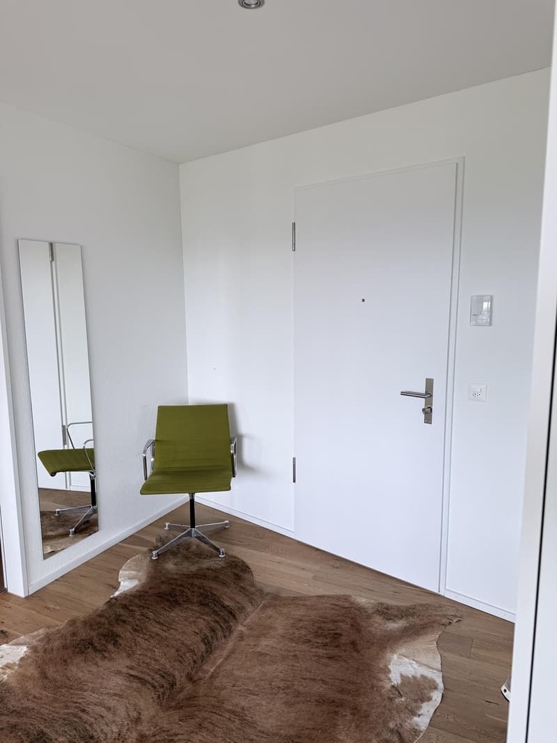 2½-Zimmer-Wohnung zur befristeten Vermietung (5)