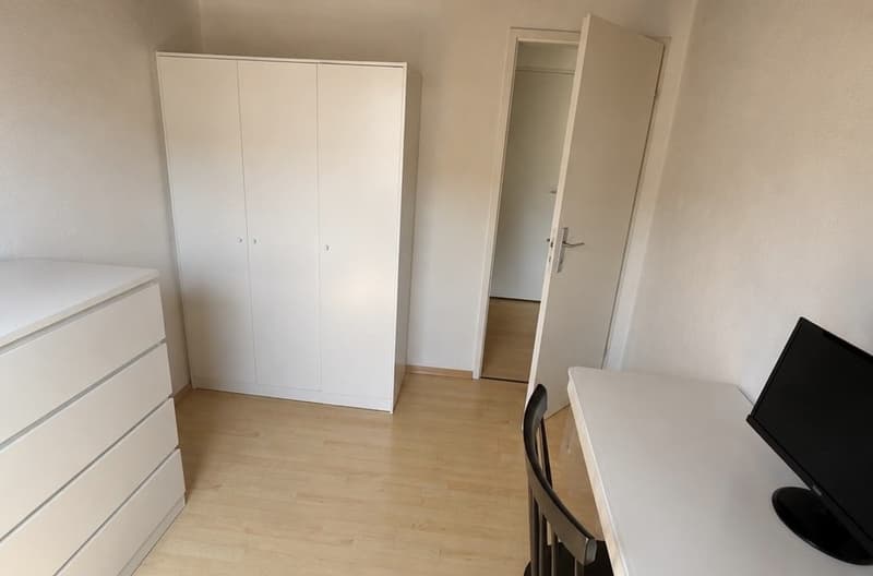 Furnished Duplex in Wiedikon, Available from 1 July 2026 (6)