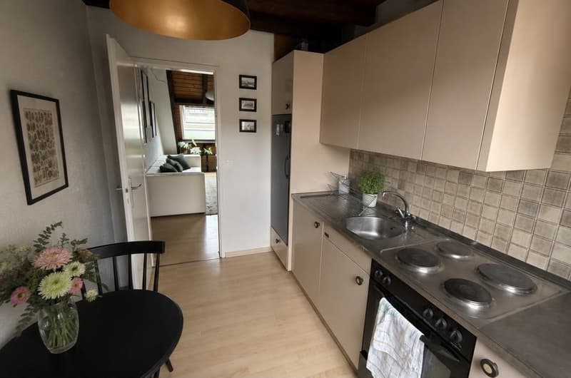 Furnished Duplex in Wiedikon, Available from 1 July 2026 (3)