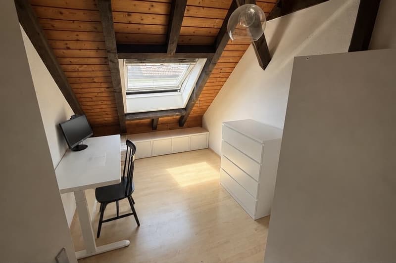 Furnished Duplex in Wiedikon, Available from 1 July 2026 (5)