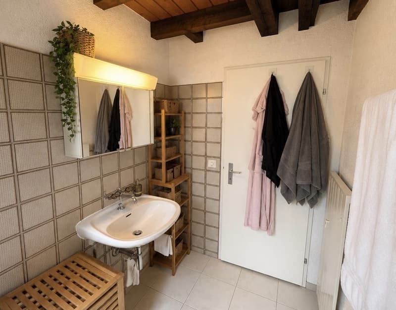 Furnished Duplex in Wiedikon, Available from 1 July 2026 (7)