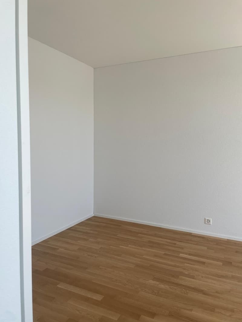 Cercasi inquilino per appartamento 2.5 locali moderno nuovo a Kriens dal 01.06.2026 (12)