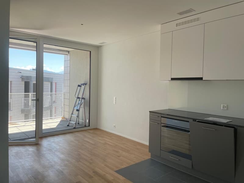 Cercasi inquilino per appartamento 2.5 locali moderno nuovo a Kriens dal 01.06.2026 (7)