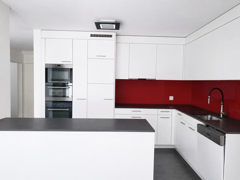 Appartement maisonnette spacieux de 6,5 pièces à utiliser en commun (4)