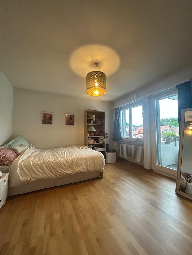 Appartamento luminoso di 3,5 locali in un quartiere residenziale tranquillo (3)