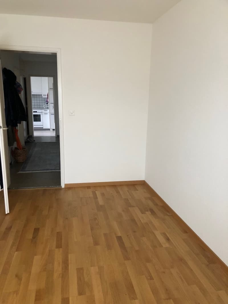 Appartamento luminoso di 3,5 locali in un quartiere residenziale tranquillo (6)