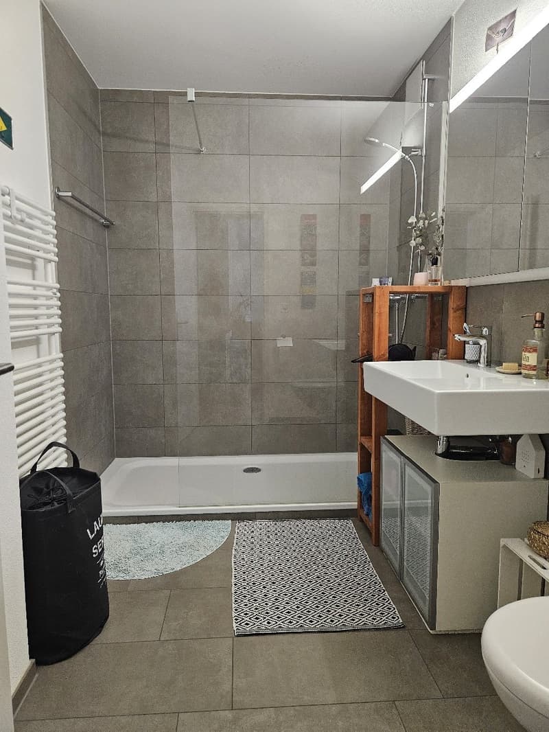 Appartement 2,5 pièces dans un emplacement attractif (6)