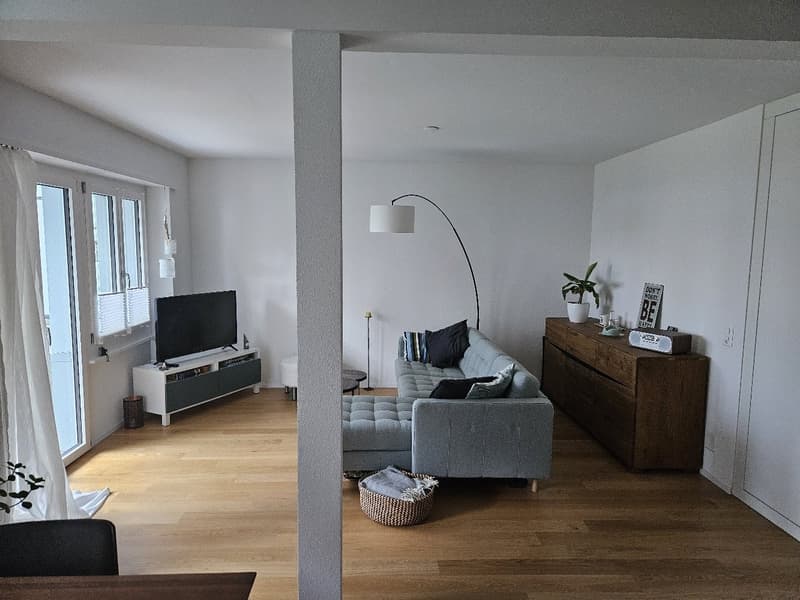 Appartement 2,5 pièces dans un emplacement attractif (2)
