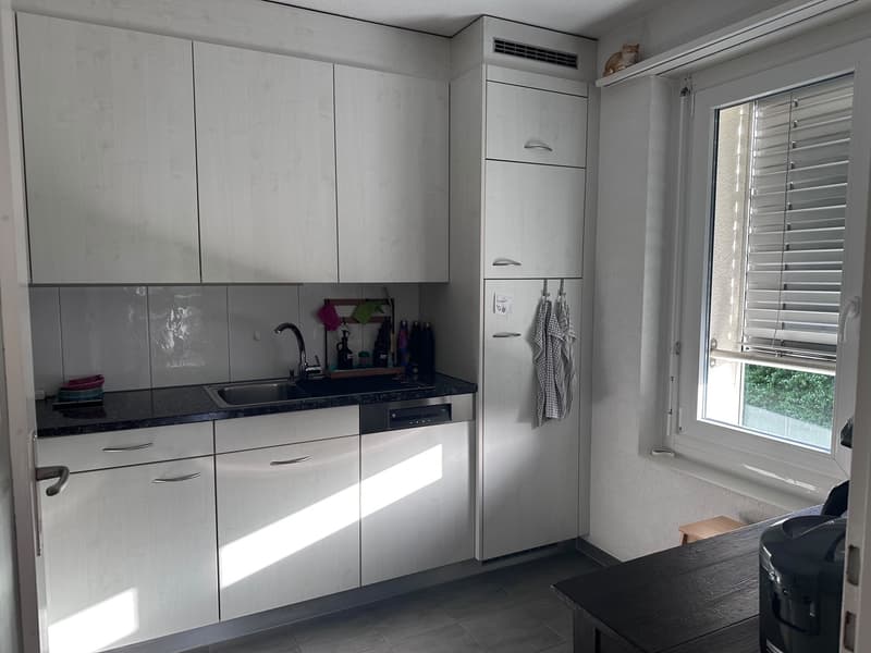 Bright 3.5-room apartment with large balcony in a green area (5)
