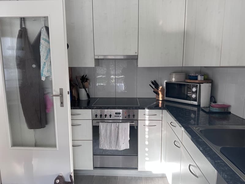 Bright 3.5-room apartment with large balcony in a green area (11)