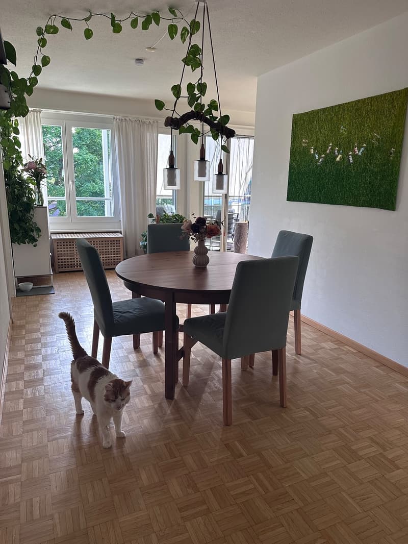 Bright 3.5-room apartment with large balcony in a green area (8)