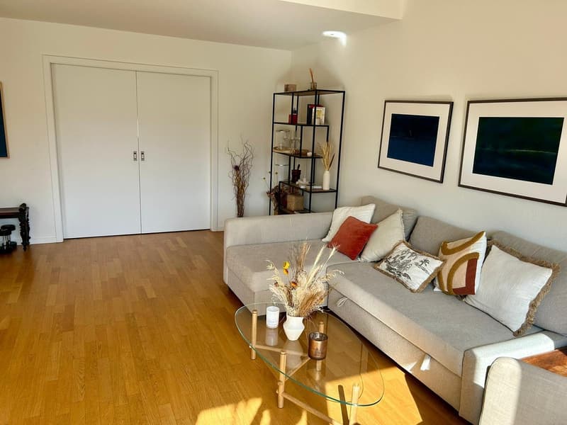 Damen-WG - 20m2 Zimmer in geräumiger und heller zentraler Wohnung (3)