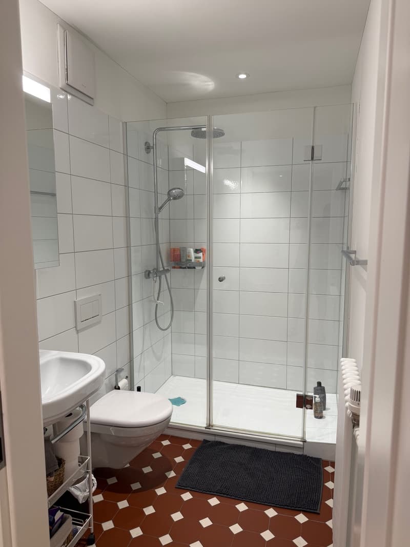Zimmer verfügbar in Kreis 3 (9)