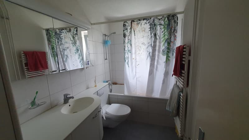 3-Zimmer-Wohnung in Effretikon  Nähe Bahnhof & Effi-Märt (2)