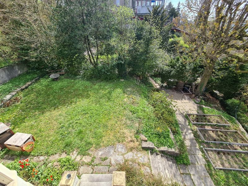 Gemuetliches WG Zimmer im Kreis 6 (12)
