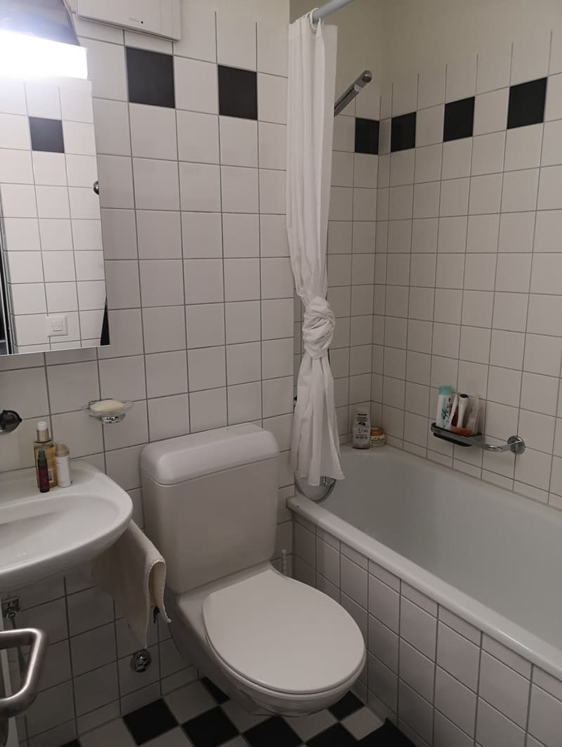 Untervermietung mit Möglichkeit der Übernahme des Mietvertrags (4)