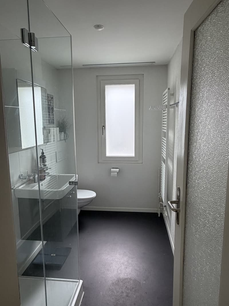Louer un appartement de 3,5 pièces à Zürich Altstetten (3)