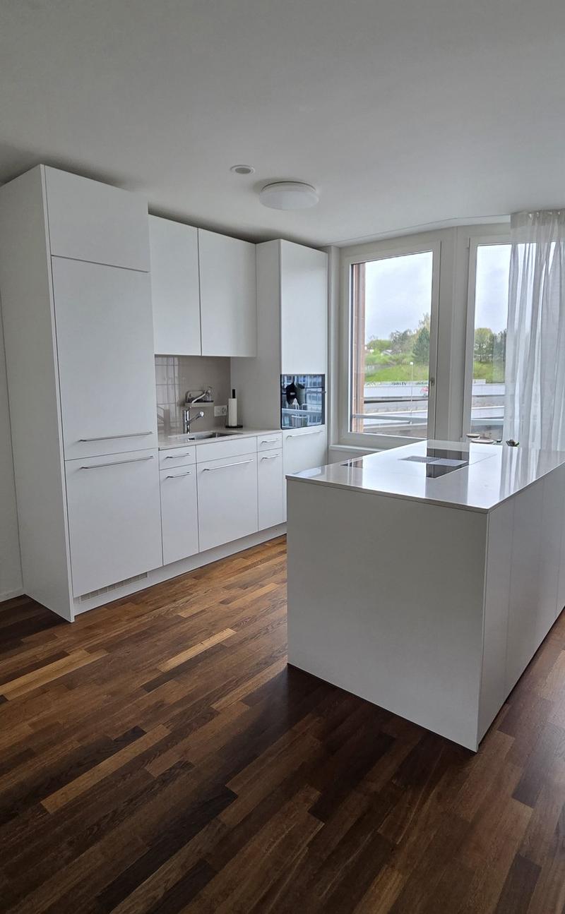 Paradise Home: Urban Life Meets Pure Nature 13 Min to Zurich HB - 3.5 Room Apartment in ManeggPerfect Location: Between Uetliberg and City (2)