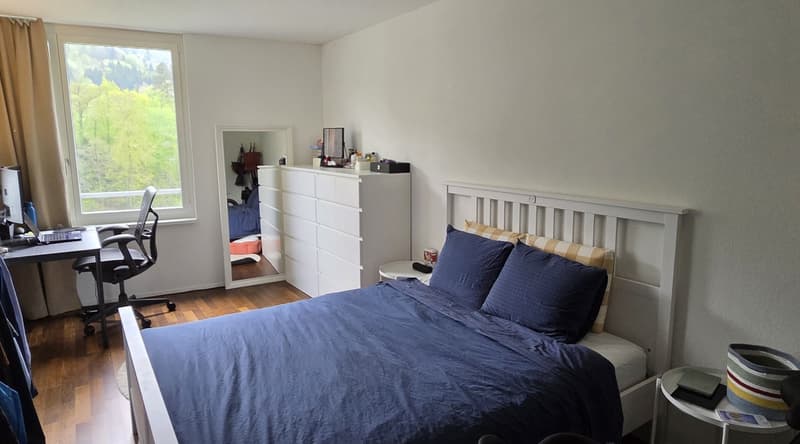 Paradise Home: Urban Life Meets Pure Nature 13 Min to Zurich HB - 3.5 Room Apartment in ManeggPerfect Location: Between Uetliberg and City (4)