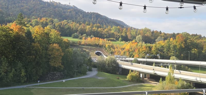 Paradise Home: Urban Life Meets Pure Nature 13 Min to Zurich HB - 3.5 Room Apartment in ManeggPerfect Location: Between Uetliberg and City (9)