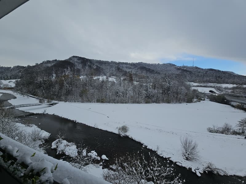 Paradise Home: Urban Life Meets Pure Nature 13 Min to Zurich HB - 3.5 Room Apartment in ManeggPerfect Location: Between Uetliberg and City (10)