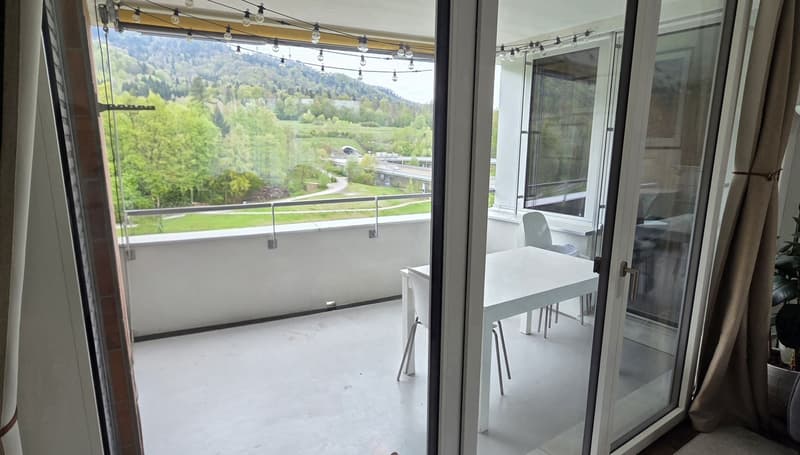 Paradise Home: Urban Life Meets Pure Nature 13 Min to Zurich HB - 3.5 Room Apartment in ManeggPerfect Location: Between Uetliberg and City (8)
