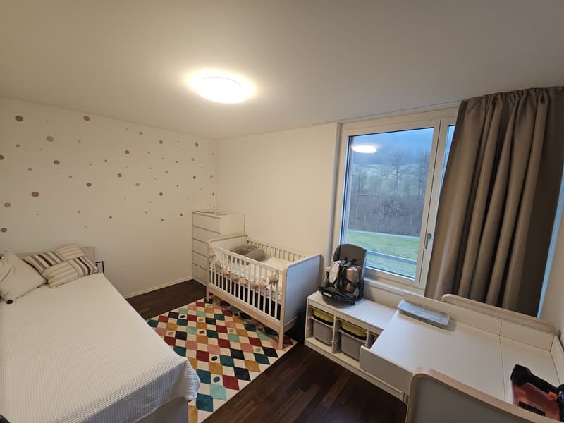 Paradise Home: Urban Life Meets Pure Nature 13 Min to Zurich HB - 3.5 Room Apartment in ManeggPerfect Location: Between Uetliberg and City (5)