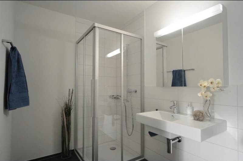 3 ½ locali appartamento, 5034 Suhr (3)
