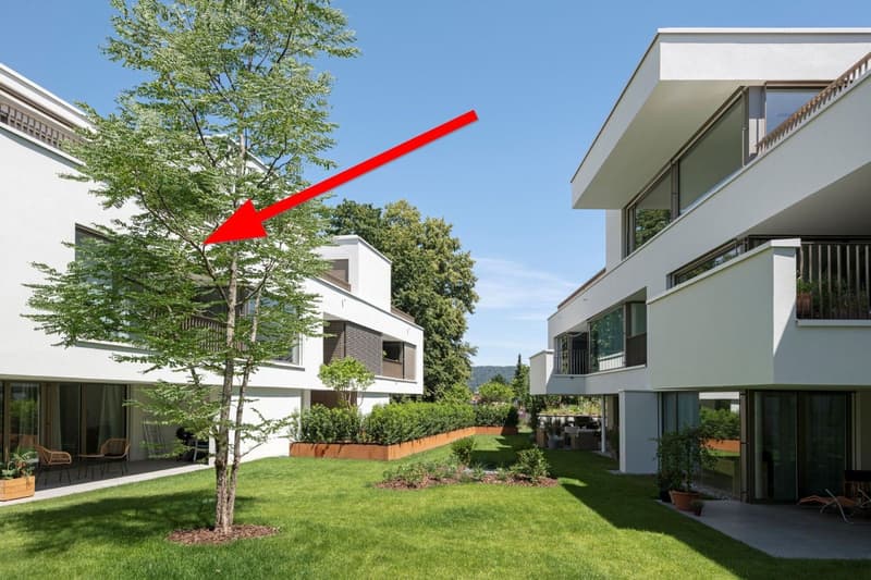 Moderne 2.5-Zimmer-Wohnung an ruhiger Lage in Dietikon (13)