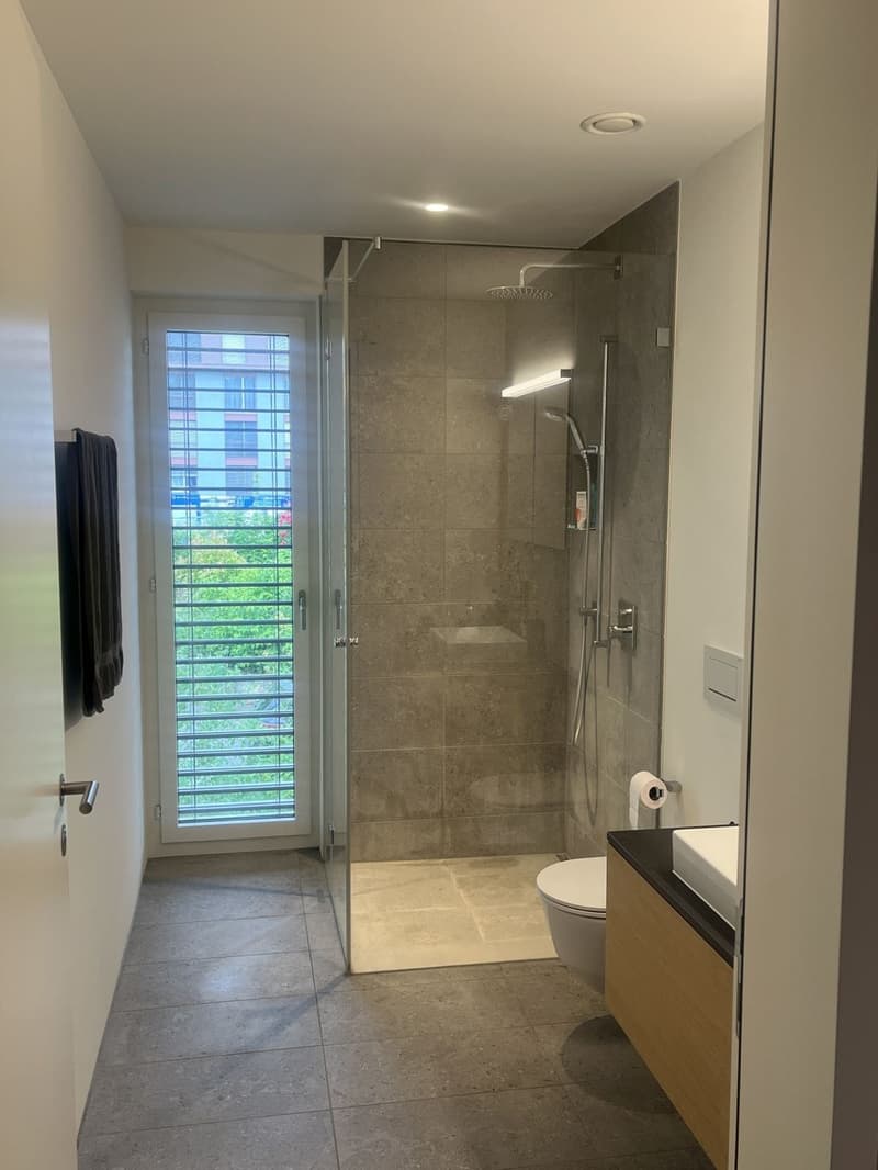 Moderne 2.5-Zimmer-Wohnung an ruhiger Lage in Dietikon (5)