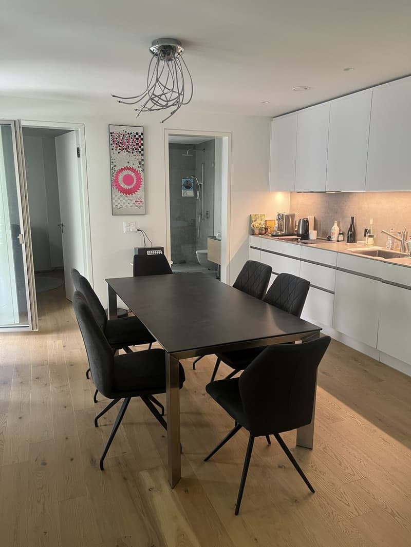 Moderne 2.5-Zimmer-Wohnung an ruhiger Lage in Dietikon (3)