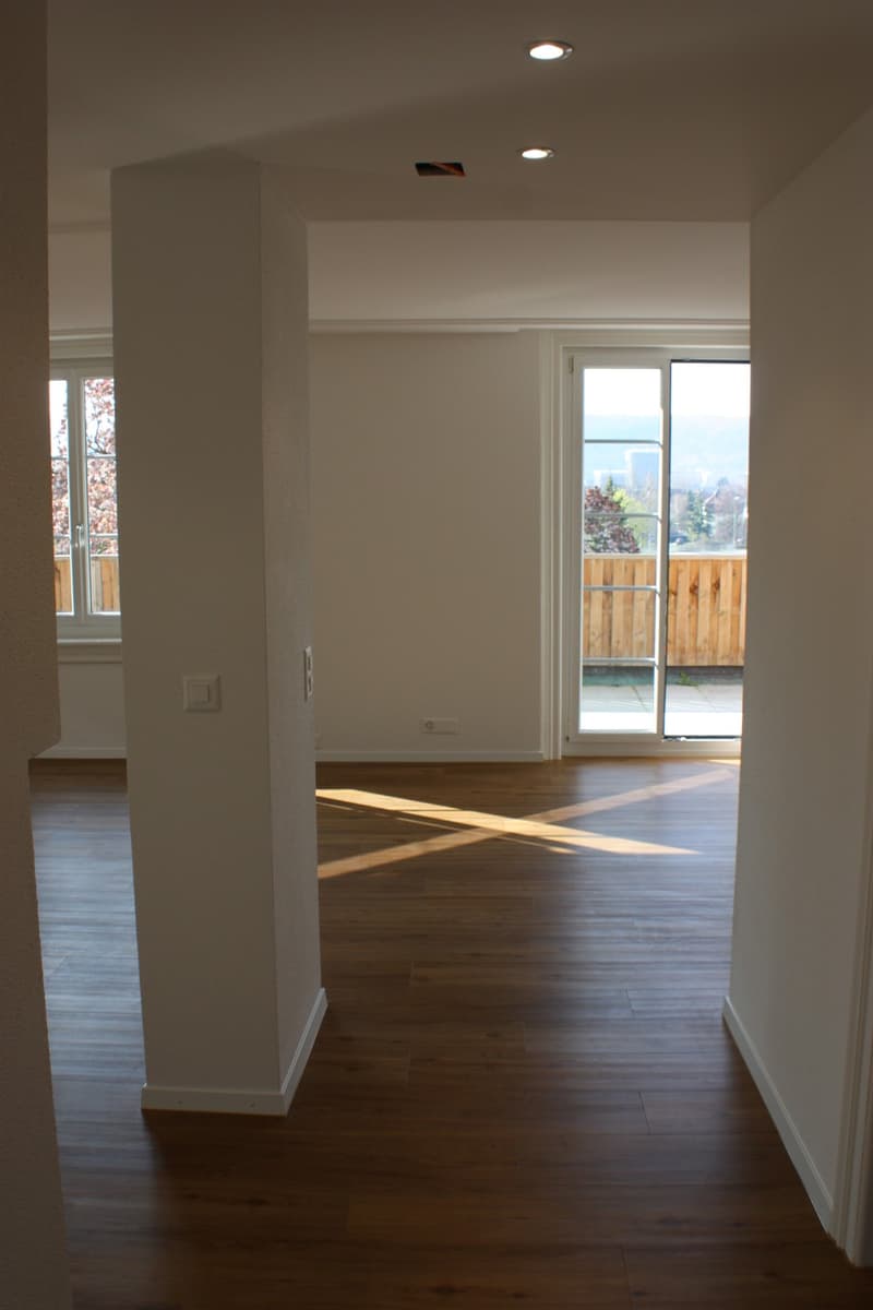 Wohnung an der Limmat (8)