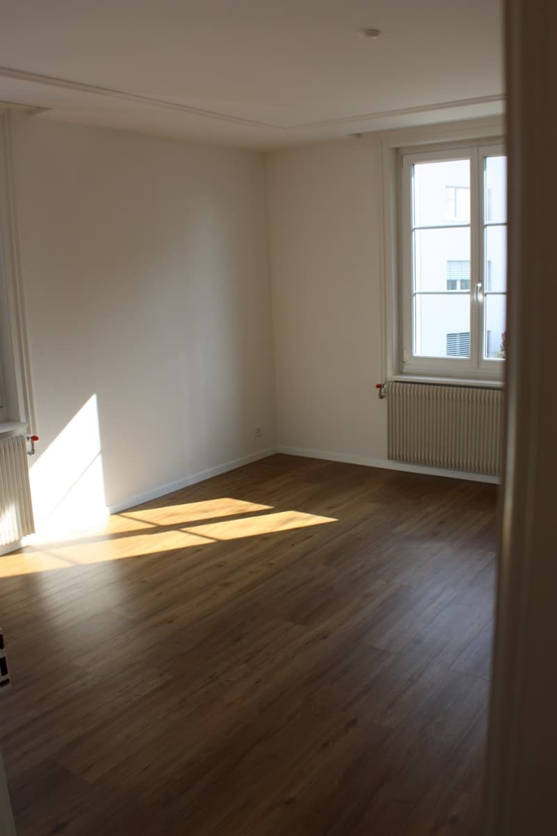 Wohnung an der Limmat (5)