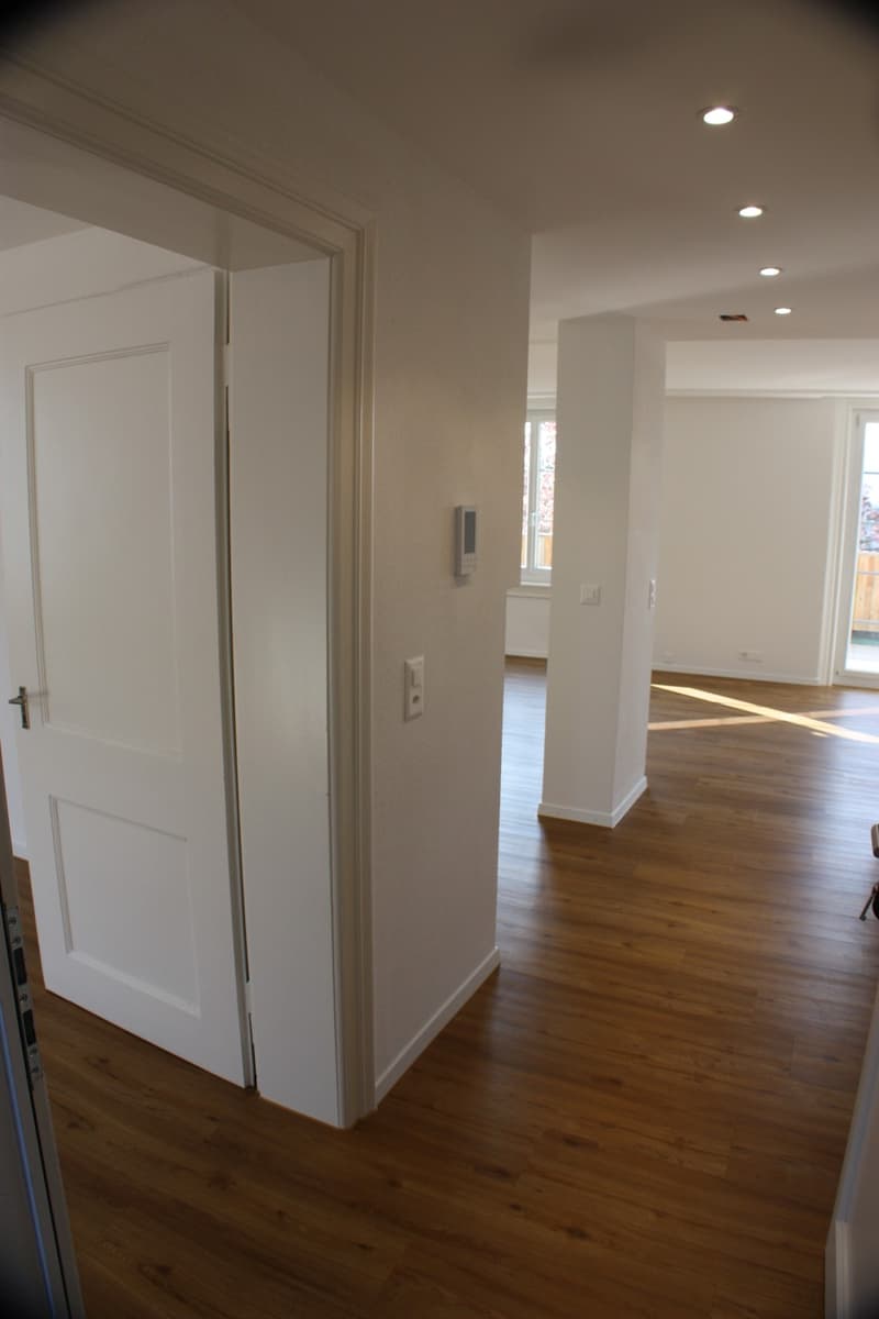 Wohnung an der Limmat (4)