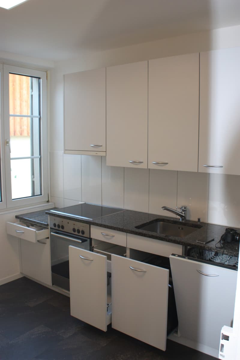 Wohnung an der Limmat (9)