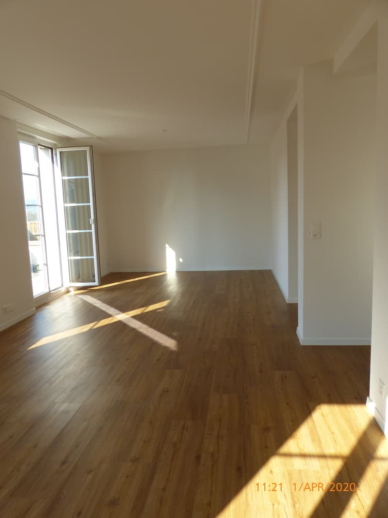 Wohnung an der Limmat (7)
