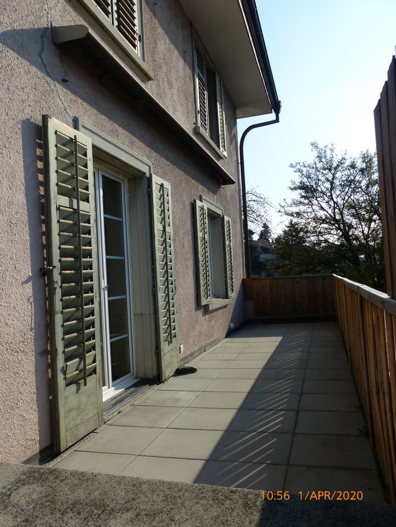 Wohnung an der Limmat (10)