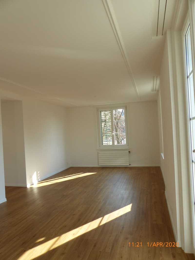 Wohnung an der Limmat (11)