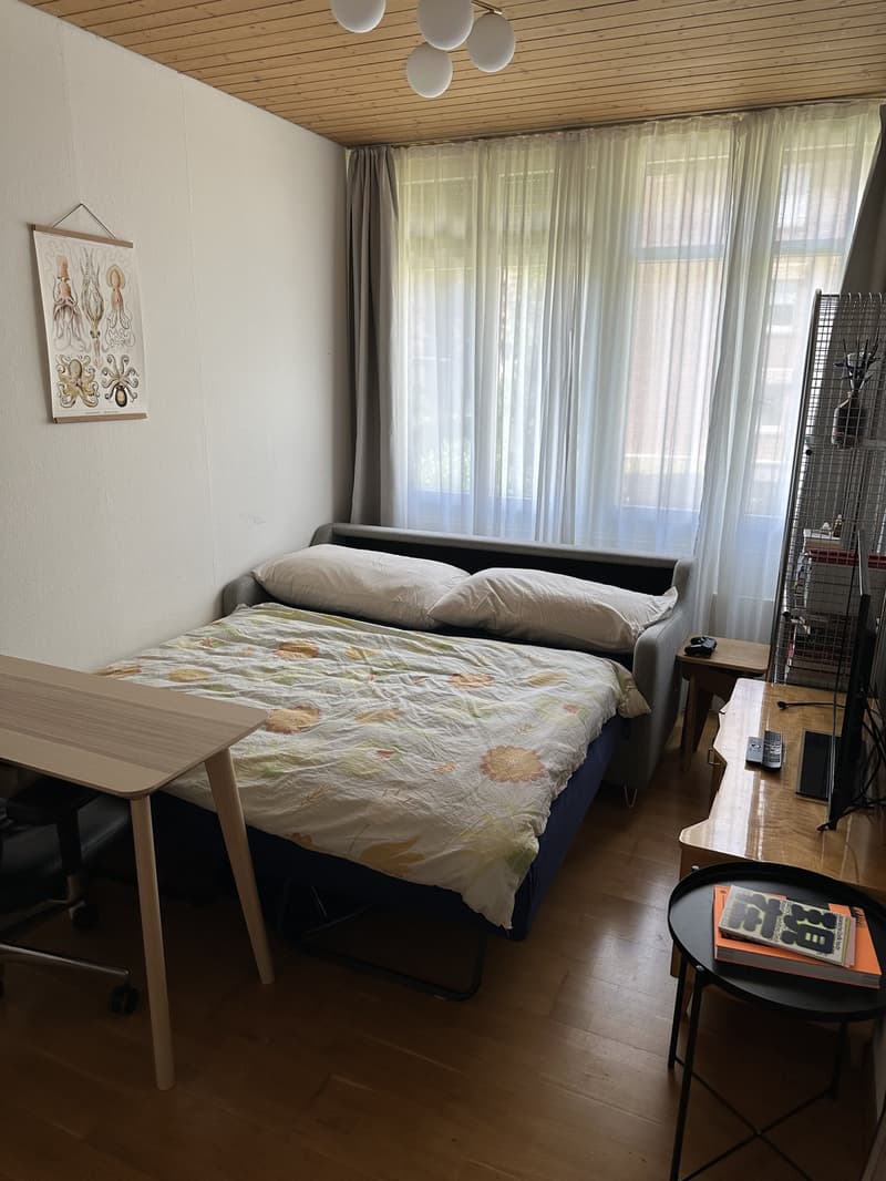 Sublet cozy studio apartment (6)