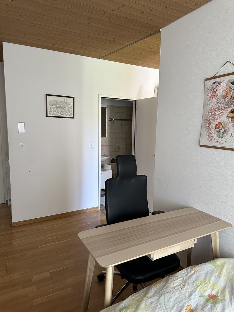 Sublet cozy studio apartment (5)