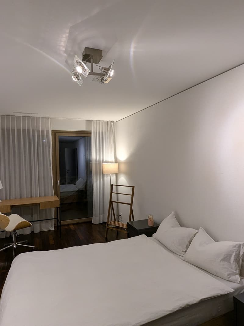 Möbliertes WG-Zimmer in zentrale Lage in Zürich zu vermieten - nur für Berufstätige (4)