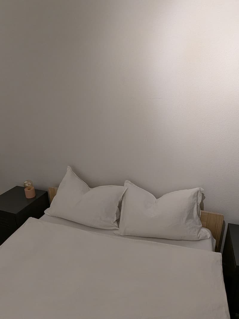Möbliertes WG-Zimmer in zentrale Lage in Zürich zu vermieten - nur für Berufstätige (3)
