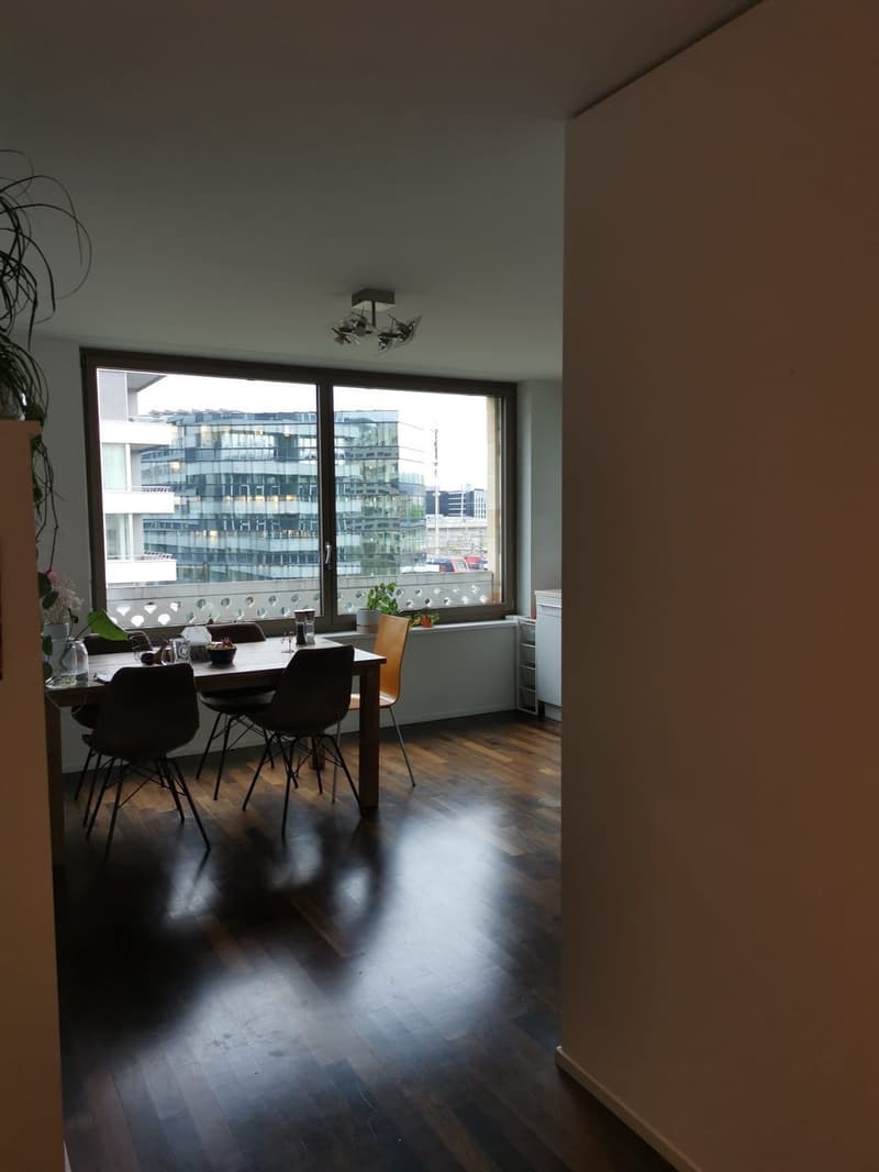 Möbliertes WG-Zimmer in zentrale Lage in Zürich zu vermieten - nur für Berufstätige (6)