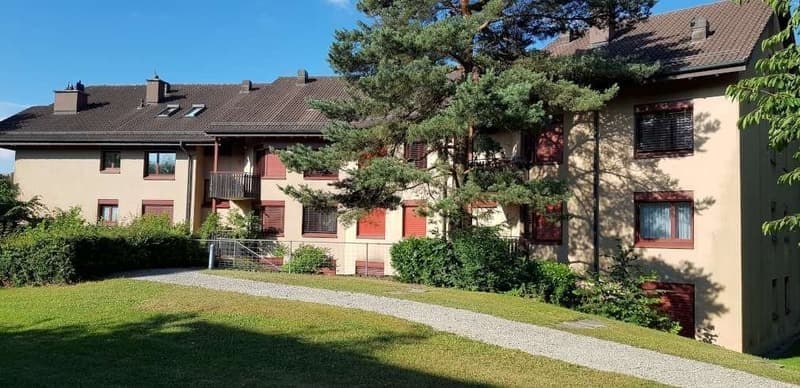 Locataire recherché pour un appartement cosy et central à Berikon (2)