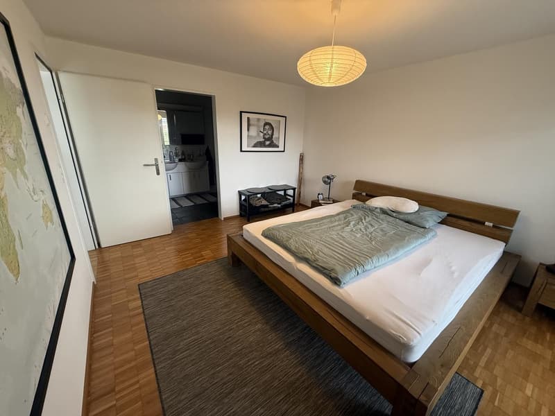 Appartement lumineux 3.5 pièces avec grande terrasse et charme (6)