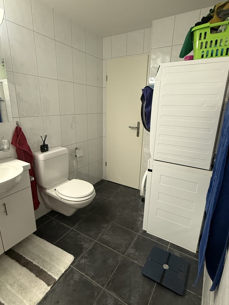 Appartement lumineux 3.5 pièces avec grande terrasse et charme (9)